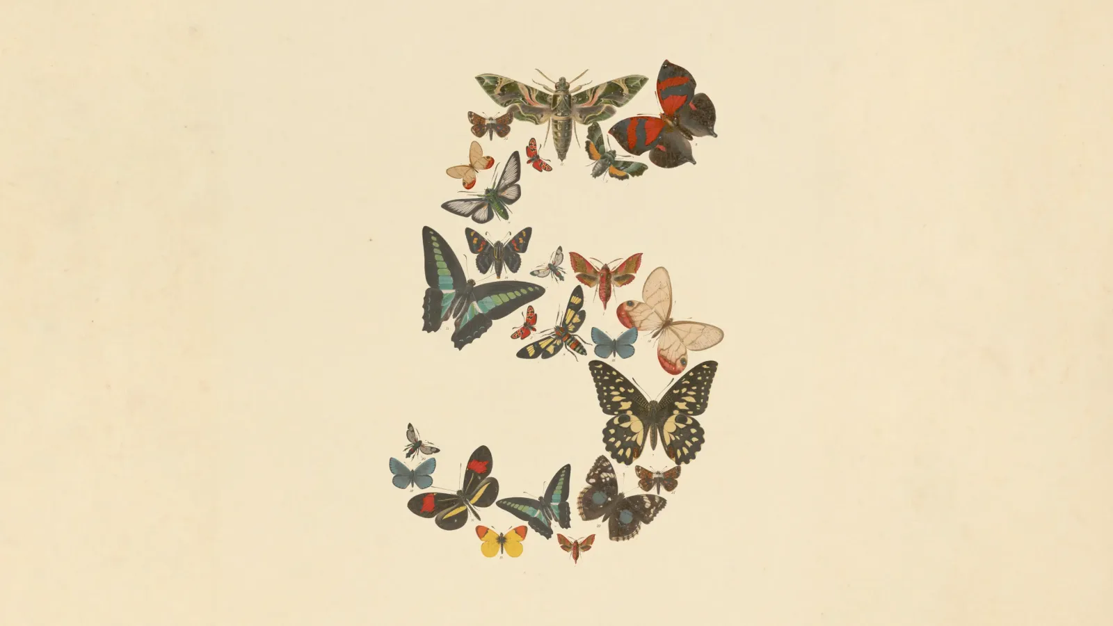 Anthropic's Fable 5 logo