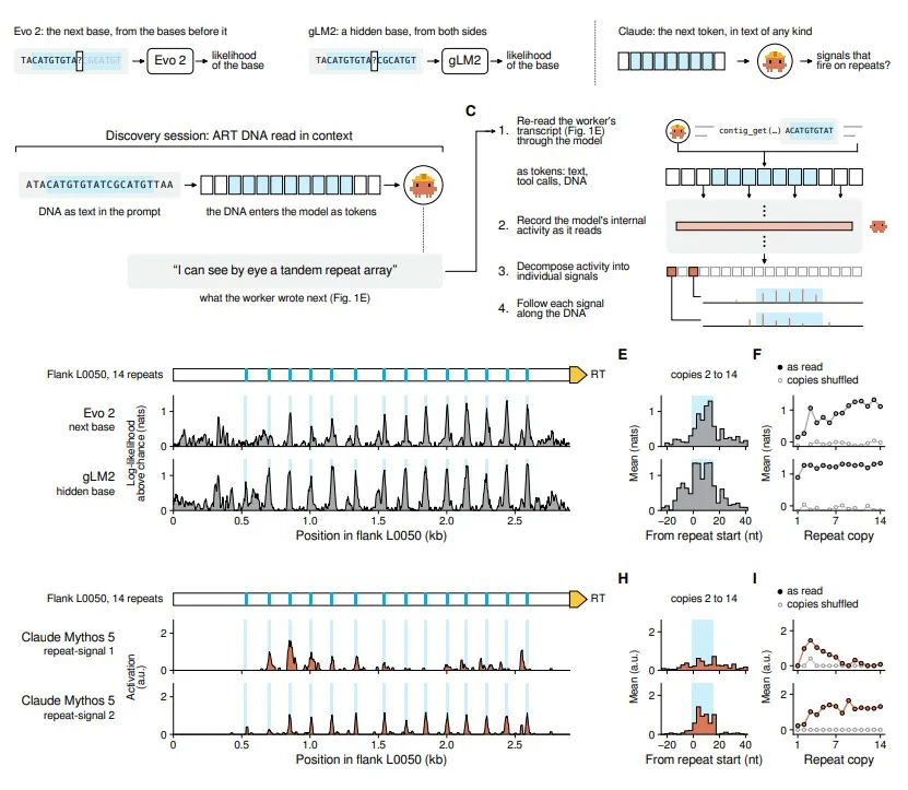 Scientific diagrams show Evo 2, gLM2, and Claude Mythos 5 detecting DNA tandem repeats using sequence and signal plots.